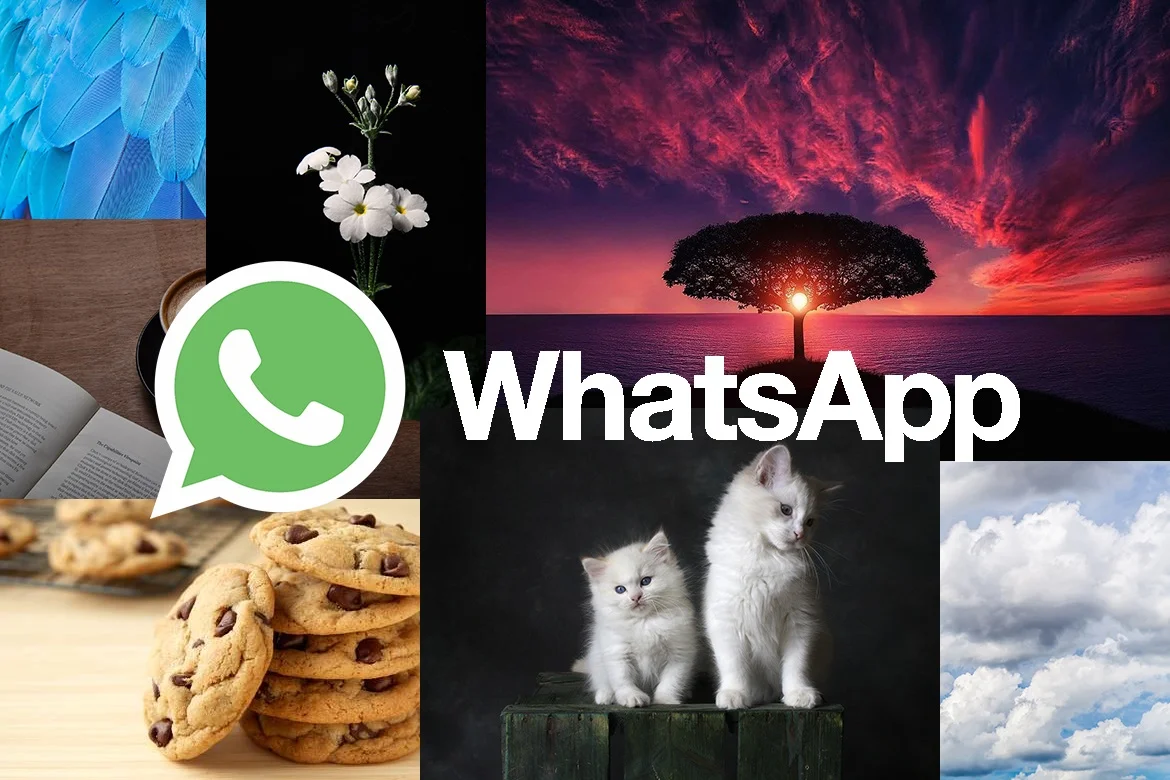 asi-puedes-cambiar-el-fondo-de-pantalla-de-whatsapp-portada