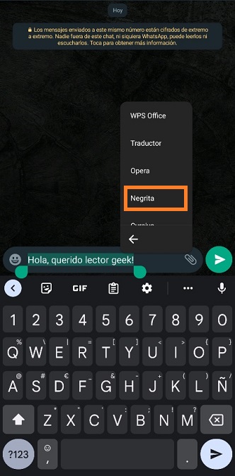 como-escribir-en-negrita-en-whatsapp-2